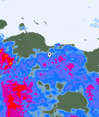 Валежи
