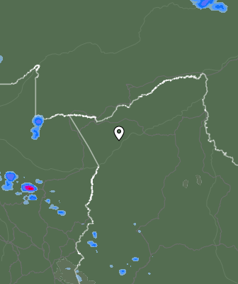Валежи