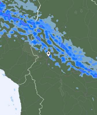 Валежи