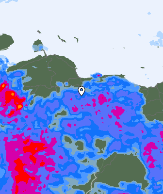 Валежи