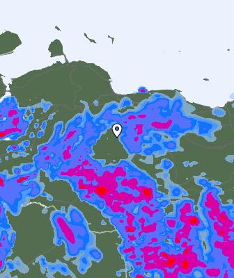 Валежи