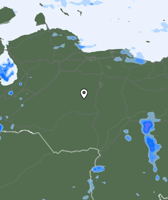 Валежи