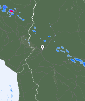 Валежи