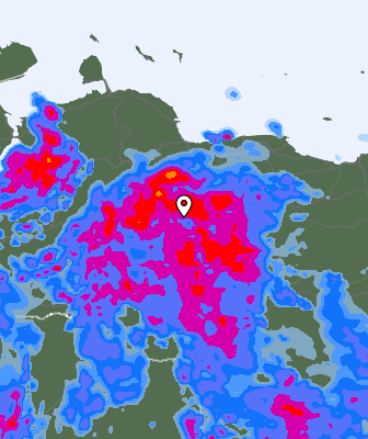 Валежи