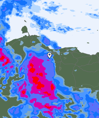 Niederschlagsprognose