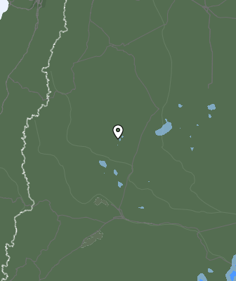Валежи