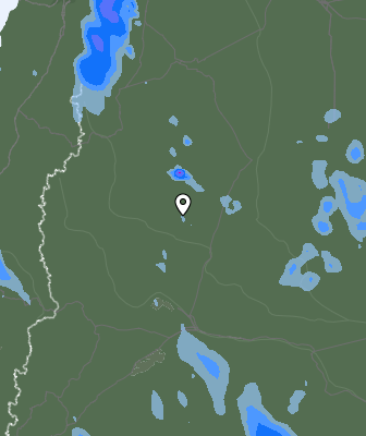 Валежи