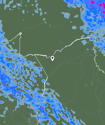 Валежи