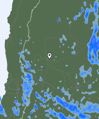 Валежи
