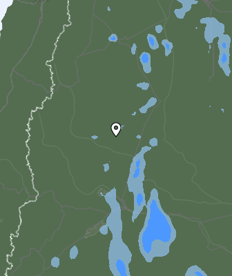 Валежи