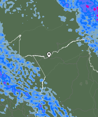 Валежи