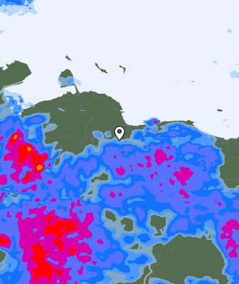 Валежи