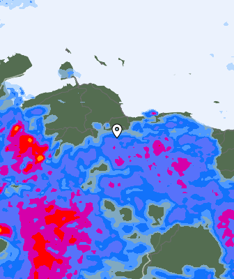 Валежи