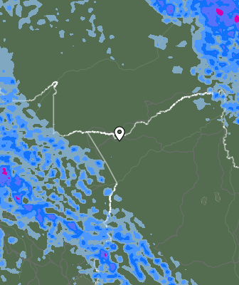 Валежи
