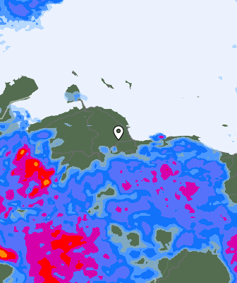 Валежи