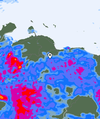 Валежи
