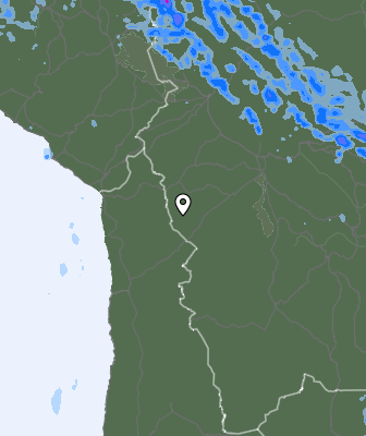Валежи