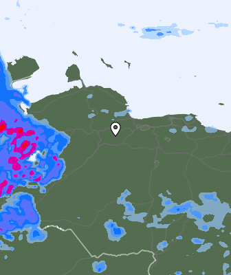 Валежи
