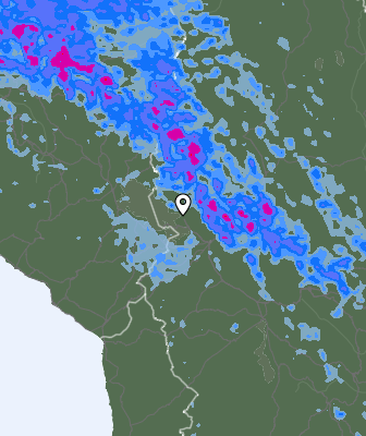 Валежи
