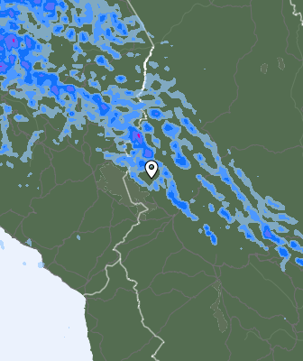 Валежи