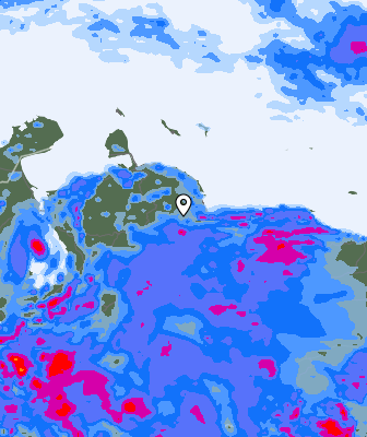 Niederschlagsprognose