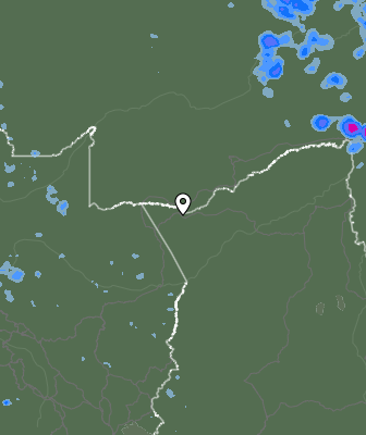 Валежи