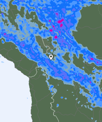 Precipitazioni
