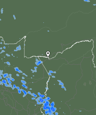 Валежи