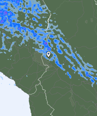 Валежи