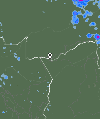 Валежи