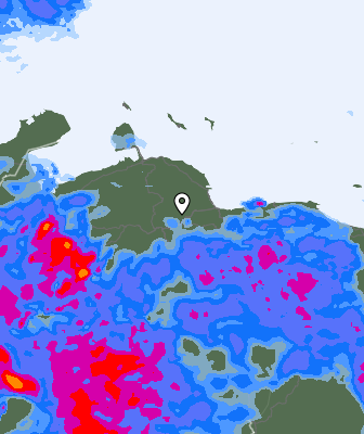 Валежи