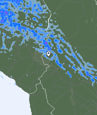 Валежи