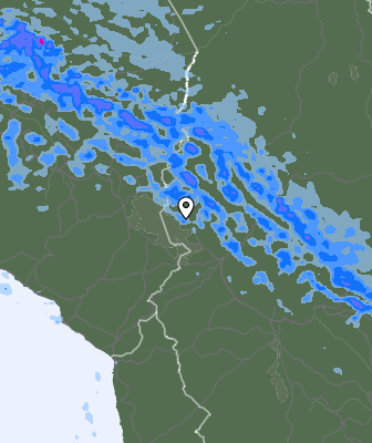 Валежи