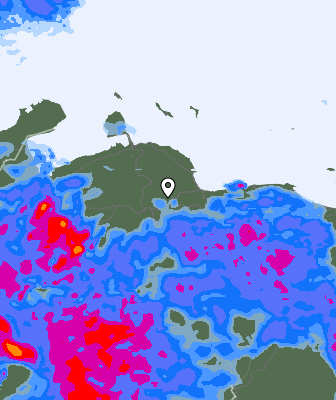 Валежи