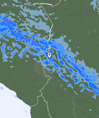 Валежи