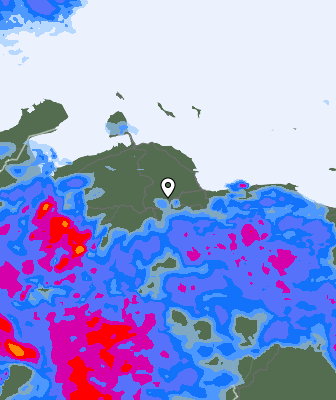 Валежи