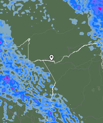 Валежи