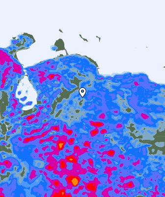 Валежи