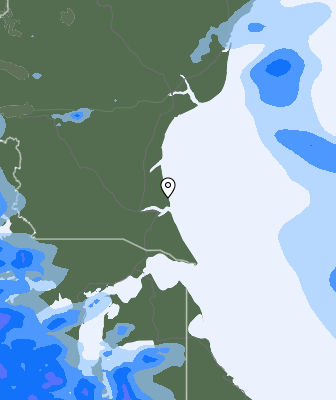 Precipitazioni