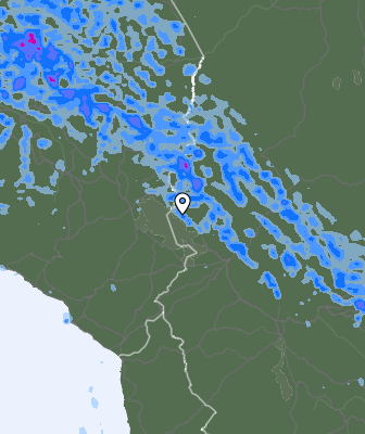 Валежи