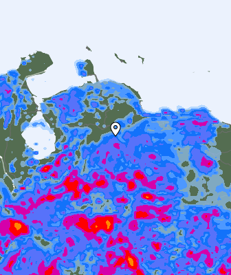 Валежи