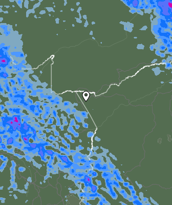Валежи