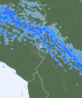 Валежи