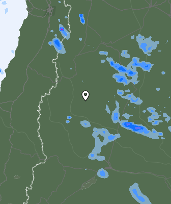 Валежи