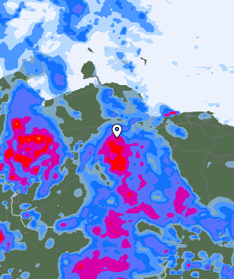 Niederschlagsprognose