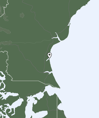 Nedbør