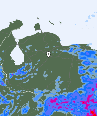 Niederschlagsprognose