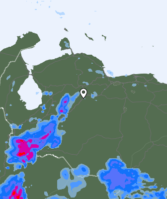 Валежи