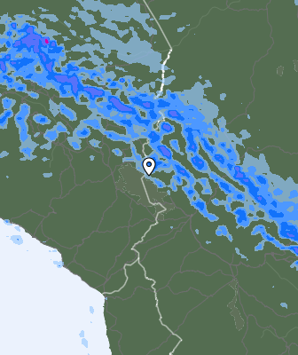 Валежи