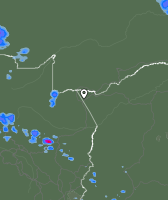 Валежи